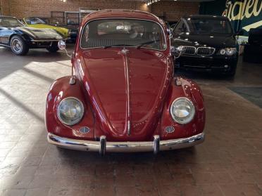 1967 VW Bug For Sale ©The Classic Car Gallery, Bridgeport, CT, USA